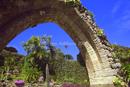 the abbey garden, tresco